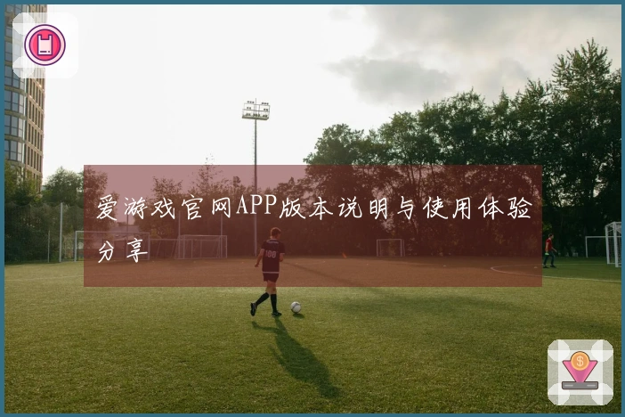 爱游戏官网APP版本说明与使用体验分享
