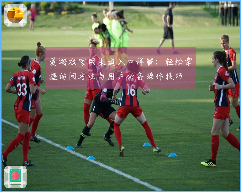 爱游戏官网渠道入口详解：轻松掌握访问方法与用户必备操作技巧