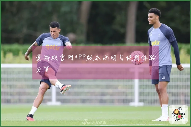 爱游戏官网APP版本说明与使用体验分享